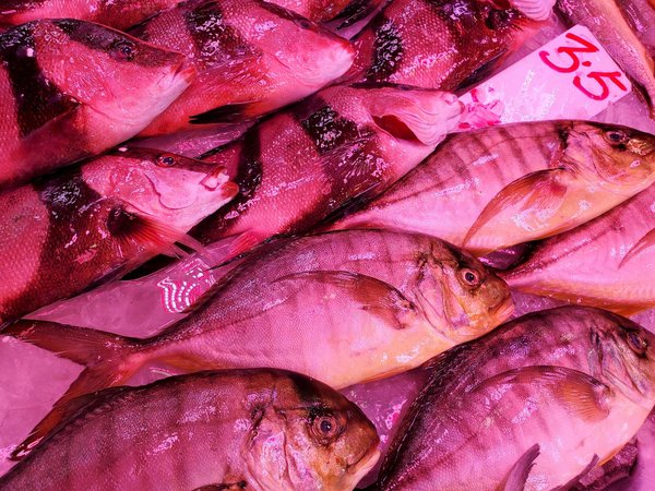 Effective Stress Relief Techniques for UK Healthcare Workers: Enhancing Workplace Wellbeing